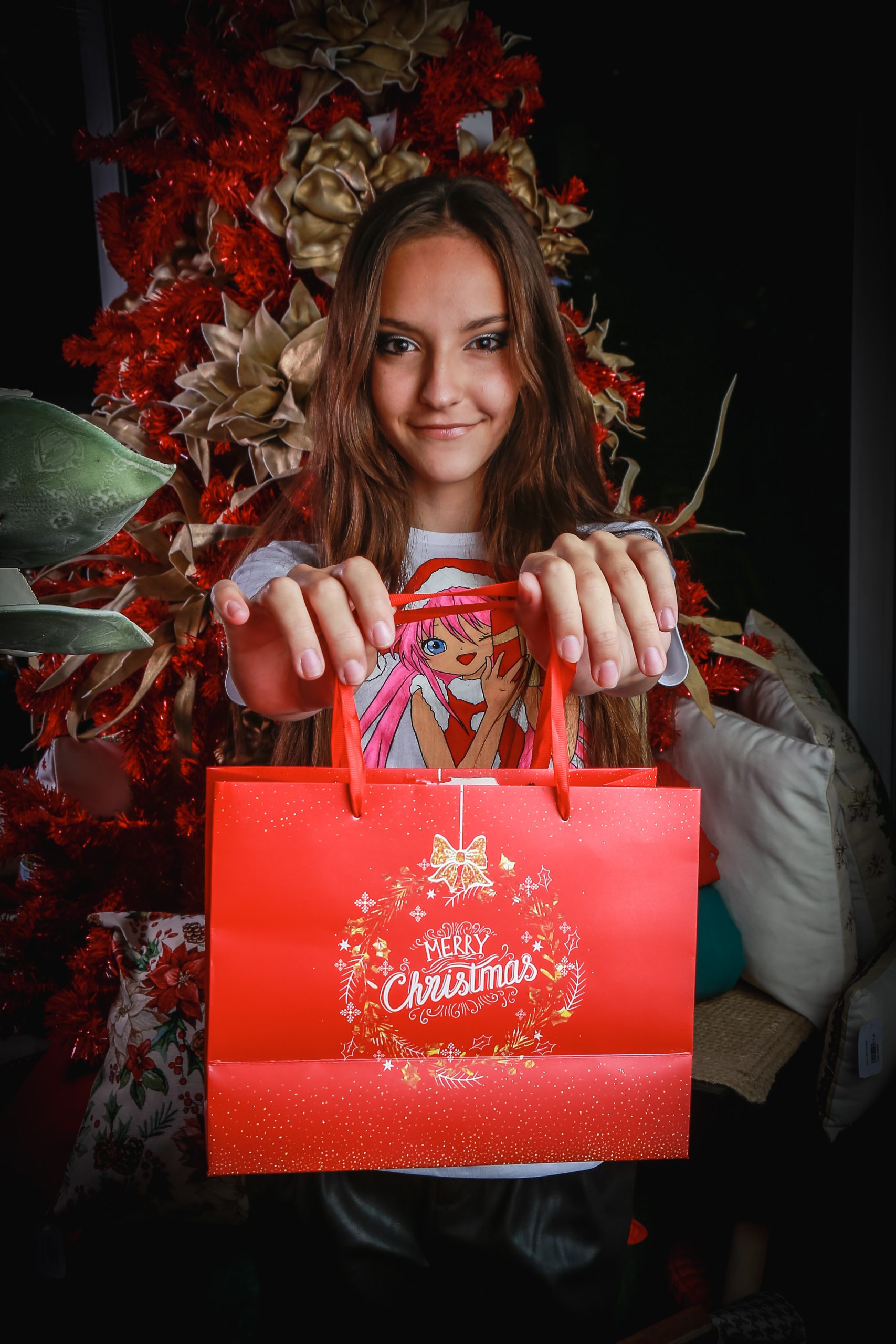Retrato con bolsa de Navidad